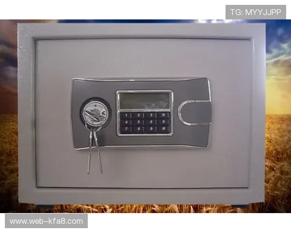 K8凯发游戏多平台兼容性详解让你随时随地畅玩无障碍体验