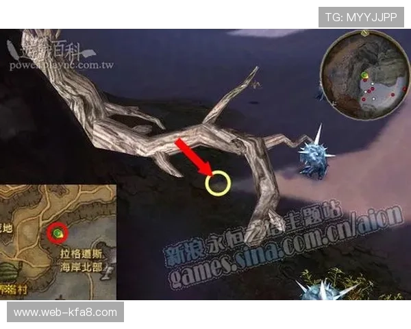 凯发会员登录流程详解帮助新手快速顺利进入游戏体验